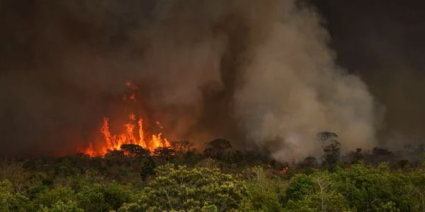 Incêndios devastam Reserva Alto Turiaçu e ameaçam vida indígena e biodiversidade