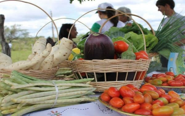 IFMA Caxias abre chamada para adquirir alimentos da agricultura e do empreendedor rural