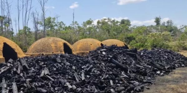 Maranhenses são resgatados de carvoaria em situação análoga à escravidão, no Pará