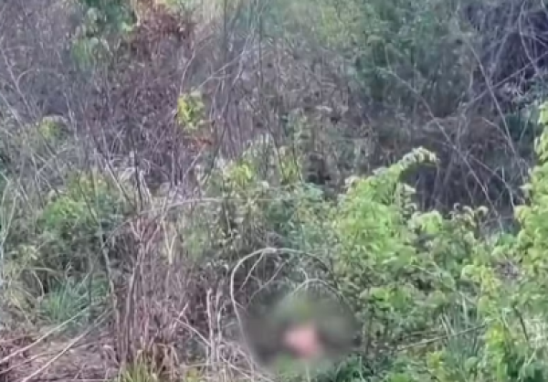 Corpo de homem é encontrado às margens da BR-316, em Timon, em estado avançado de decomposição