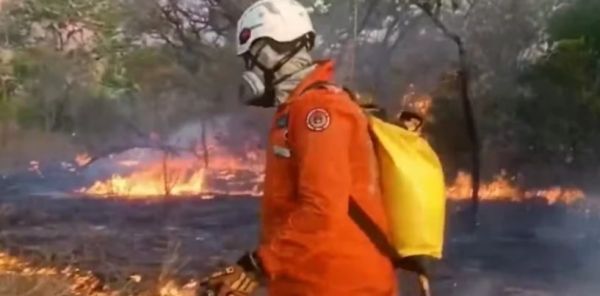 Brigadistas tentam controlar fogo que já dura 15 dias na Chapada das Mesas