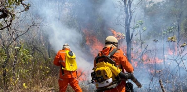 Maranhão registra mais de 9 mil focos de queimadas; Bombeiros intensificam combate