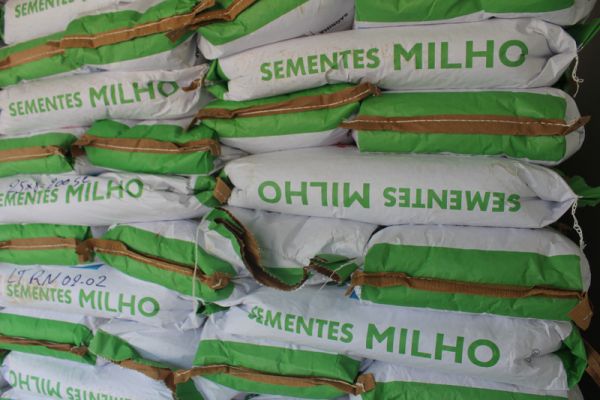 Agricultores recebem mais de 140 toneladas de sementes de arroz e milho do Governo do Maranhão