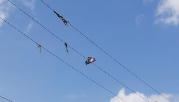 Dois jovens morrem e um fica ferido com descarga elétrica ao tentarem remover pipa enroscada em fio em Timon