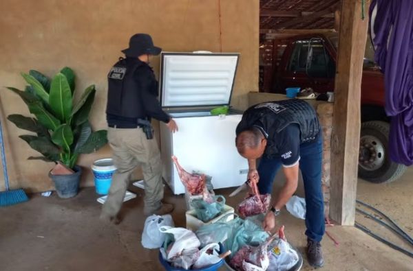 Polícia Civil apreende 60 kg de carne de animais silvestres e armas de fogo no interior do MA