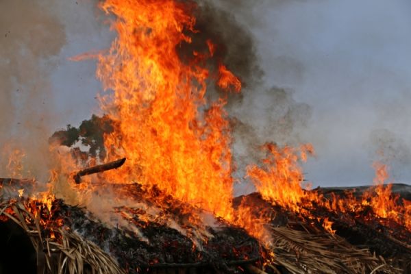 Maranhão é um dos estados com mais ocorrências de incêndios