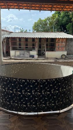 Polícia Civil desmonta rinha de galos e conduz proprietária à delegacia em Caxias