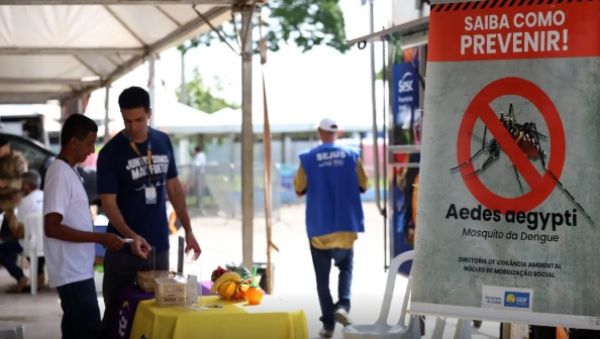 Casos de dengue no Brasil caem 60% nas primeiras semanas do ano