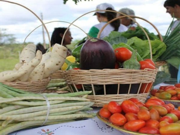 IFMA Caxias abre chamada para adquirir alimentos da agricultura e do empreendedor rural