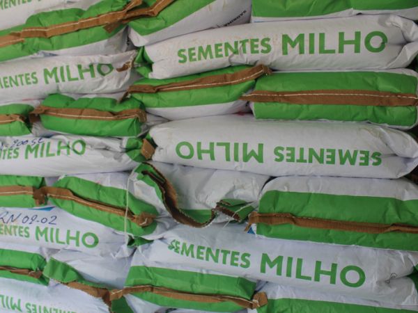 Agricultores recebem mais de 140 toneladas de sementes de arroz e milho do Governo do Maranhão