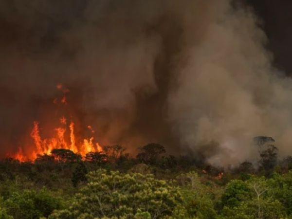 Incêndios devastam Reserva Alto Turiaçu e ameaçam vida indígena e biodiversidade