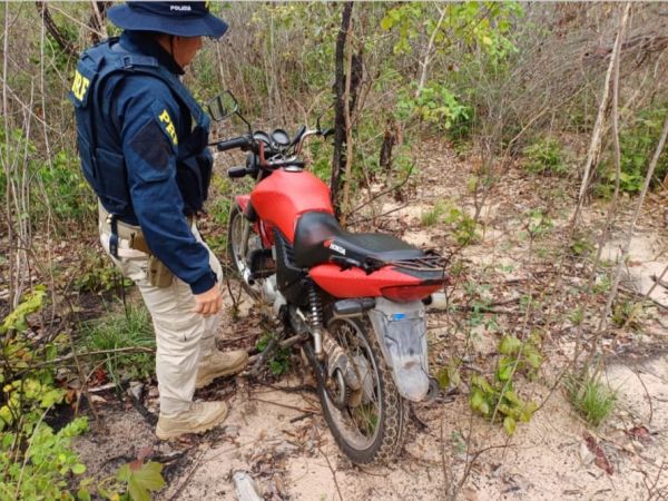 PRF localiza motocicleta roubada em matagal