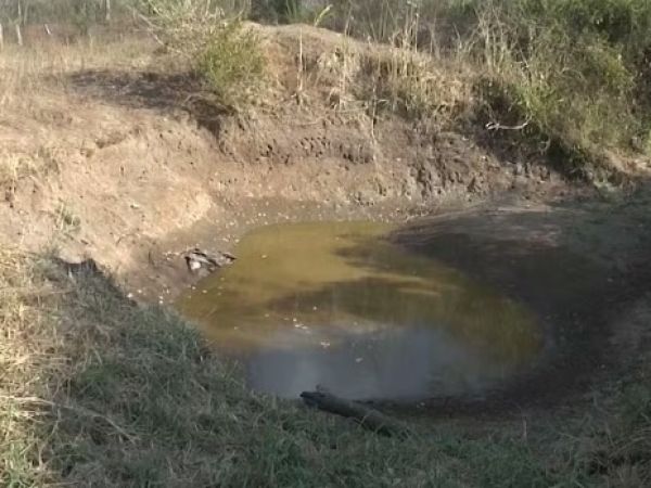 Governo federal reconhece situação de emergência em Bequimão e Bela Vista do Maranhão devido a estiagem