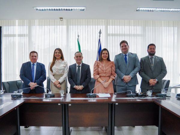 Comissão de Assuntos Econômicos da Alema inicia trabalhos elegendo presidente e vice
