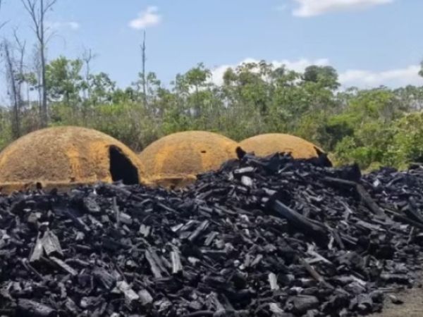 Maranhenses são resgatados de carvoaria em situação análoga à escravidão, no Pará