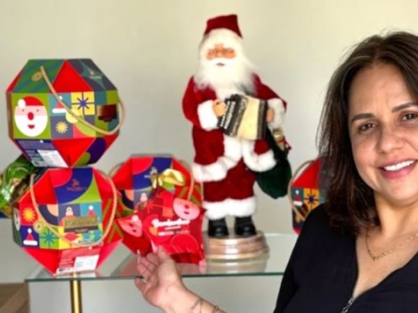 Mulheres lideram 41,2% dos negócios ativos no Maranhão