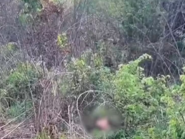 Corpo de homem é encontrado às margens da BR-316, em Timon, em estado avançado de decomposição