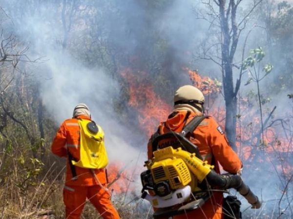 Maranhão registra mais de 9 mil focos de queimadas; Bombeiros intensificam combate