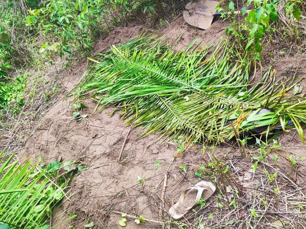 Suspeito de matar homem a pauladas e enterrá-lo em cova rasa na zona rural de Caxias é preso