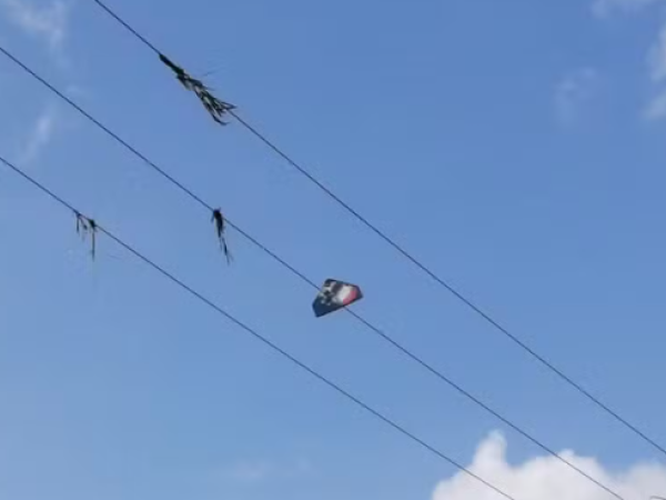 Dois jovens morrem e um fica ferido com descarga elétrica ao tentarem remover pipa enroscada em fio em Timon