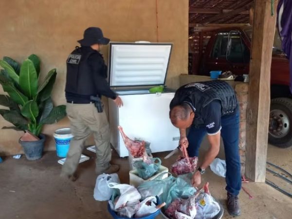 Polícia Civil apreende 60 kg de carne de animais silvestres e armas de fogo no interior do MA