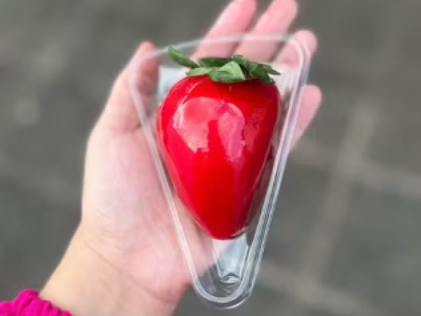 'Morango do amor': empreendedoras faturam até R$ 3 mil em menos de 24h no MA