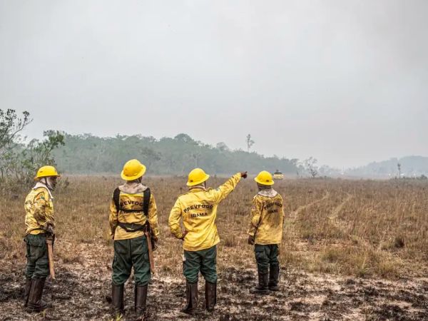 Dino estabelece orçamento de emergência para combate a incêndios